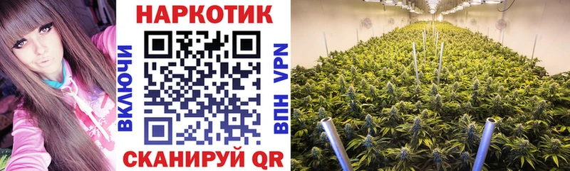 Купить наркотики Нерчинск KRAKEN вход  Каннабис  COCAIN  МЕФ  Гашиш  АМФ 