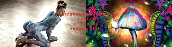 дурь Балахна