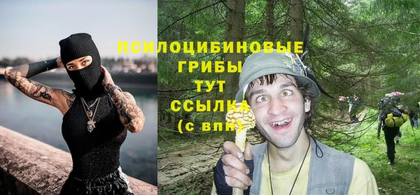 гидропоника Балабаново
