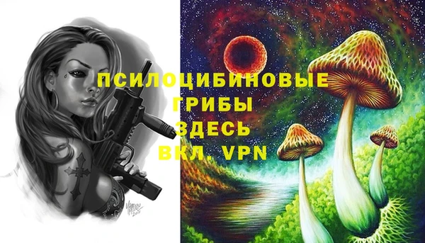 мескалин Ростов